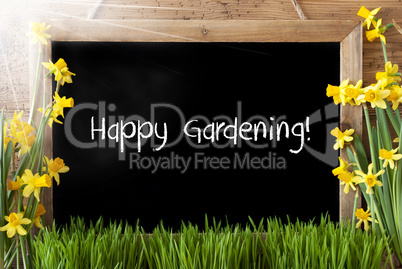 Sunny Spring Narcissus, Chalkboard, Text Happy Gardening