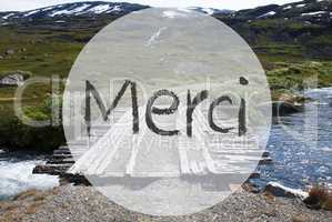 Bridge In Norway Mountains, Merci Means Thank You