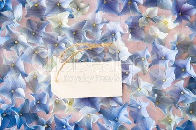 Shiny Hydrangea Flat Lay, Copy Space, Blossom Texture