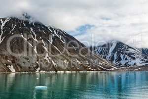 Magdalenafjord in Svalbard islands, Norway