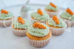 Oster Cupcakes