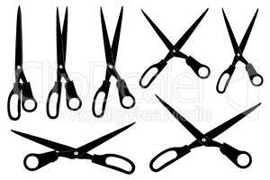 Set of different scissors