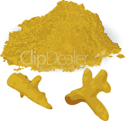 Turmeric roots and powder vector illustration