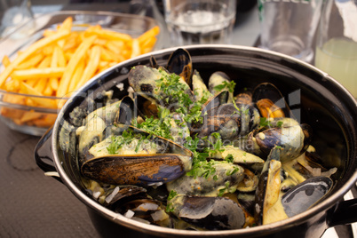 Mussel and french fries