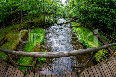 Forest with river, wooden bridge and hut