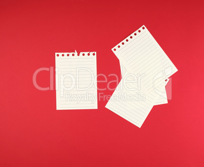 empty white sheets in a line torn out of notepad