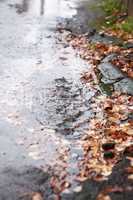 Pavement Under Rain