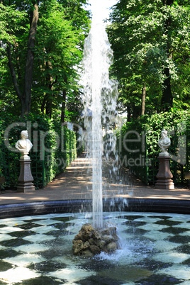 Summer Garden In St. Petersburg, Russia