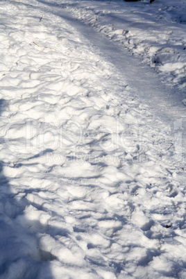 Footpath Across Winter