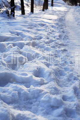 Footpath Across Winter