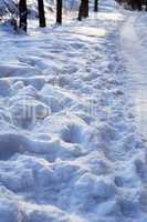 Footpath Across Winter