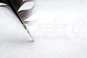 Feather On Paper