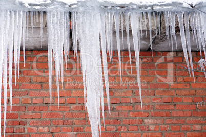 Icecles Against Brick Wall