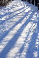 Winter Landscape With Shadow