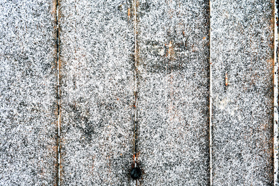 First Snow On Wood