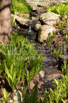 Loki-Schmidt-Garten Klein Flottbek