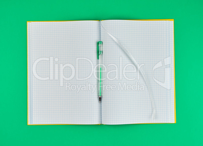 open notebook in line and gel pen on a green background
