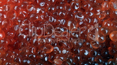 red caviar at day