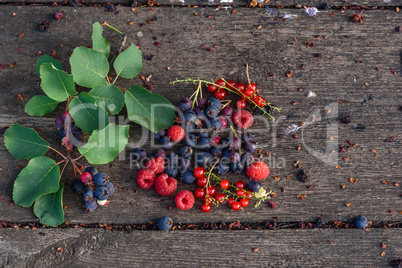Ripe shadberry, redcurrant, raspberry with branch scattered on wooden table