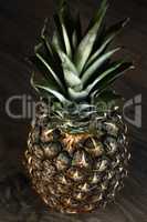 tropical summer fruit, Pine Apple