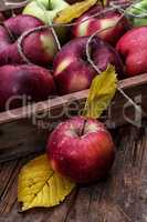 freshly harvested crop rustic apples