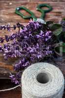 cut lavender