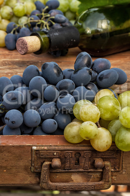 Ripe grapes