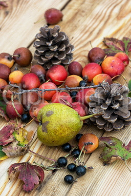 autumn pear rosehip