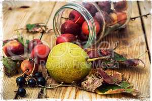 autumn pear rosehip