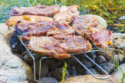 Barbecue cooking outdoor in forest