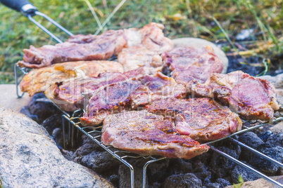 Barbecue cooking outdoor in forest