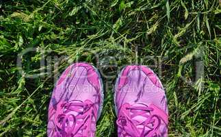 pink women sneakers with laces on fresh green grass,