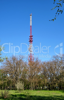 TV tower in the park on a summer day