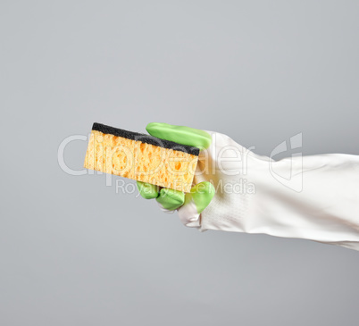 gloved hand holds  kitchen sponge