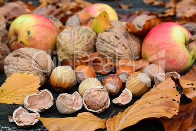 Walnuts, hazelnuts and wild apples close up