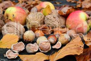 Walnuts, hazelnuts and wild apples close up