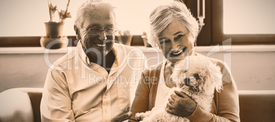 Senior couple holding a dog