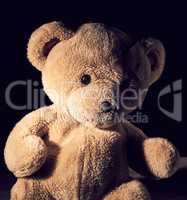 old brown teddy bear