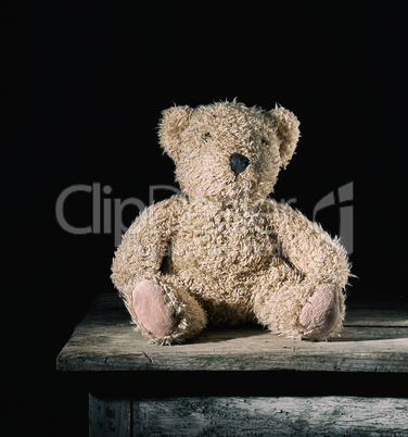brown soft teddy bear sit on a  wooden background