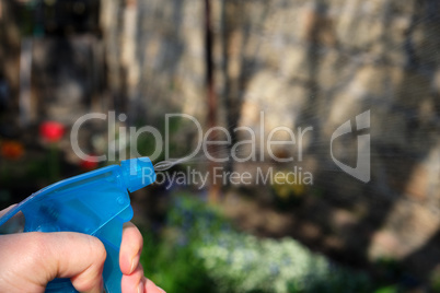 female hand holding a blue plastic bottle with liquid and sprayi