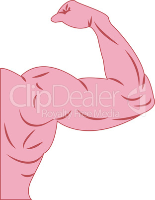 Strong power muscle arms vector