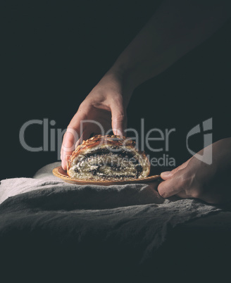 female hands hold baked roll with poppy seeds