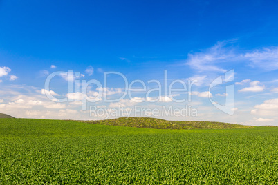 Lush Green Farm Land Landscape With Hills In The Distance