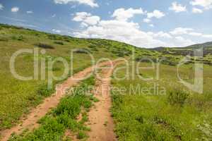 Dirt Road In Lush Green Meadow Leading Into the Hills