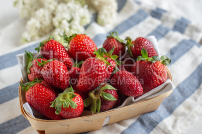 Erdbeeren