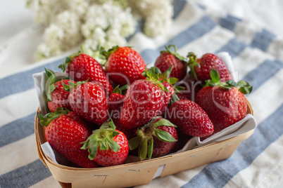 Erdbeeren