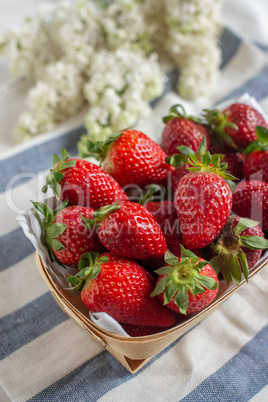 Erdbeeren