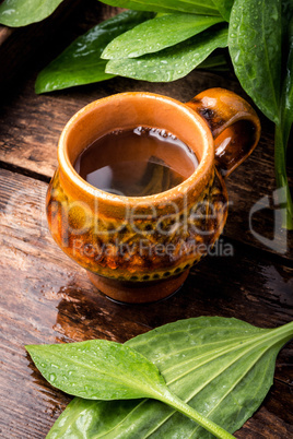 Cup of healthy tea