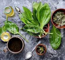 Herbal plantain tea