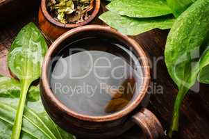 Tea with plantain